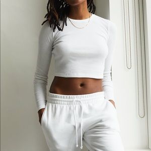 Aritzia tna ribbed cropped longsleeve